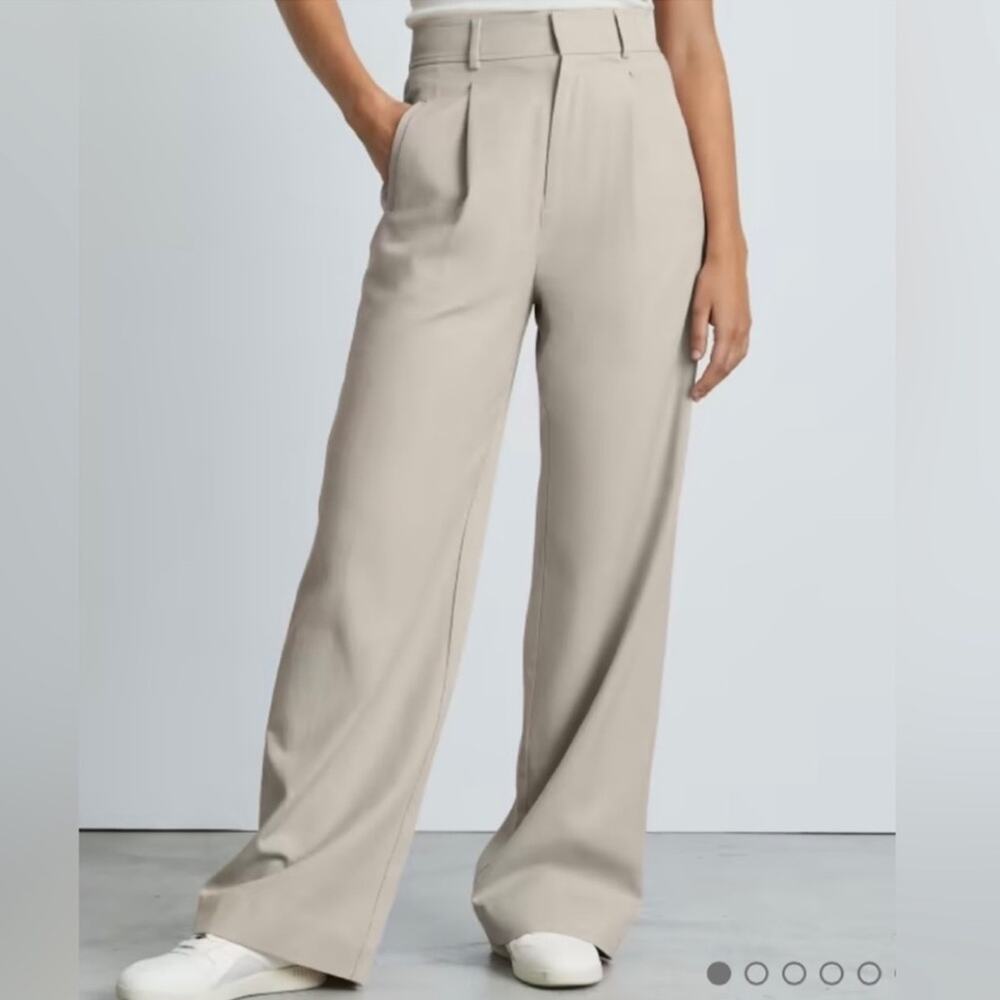 Everlane Way-High Drape Wide Leg Trousers Sandstone Neutral Pants NWT Sz 10 S